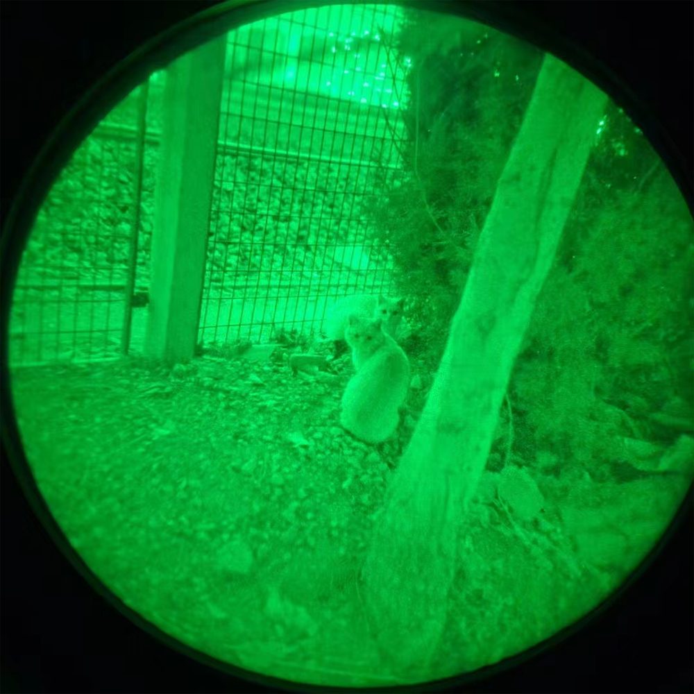 NEWCOM纽科姆BNVM-1超二代单目单筒盔式红外微光夜视仪 - 图片 3